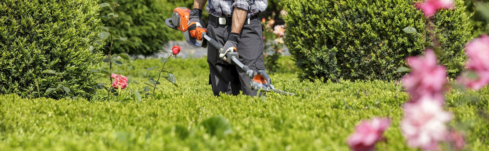 GB Fencing & Tree Surgery